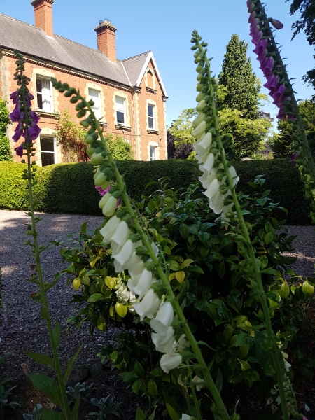 Glasfryn Hall